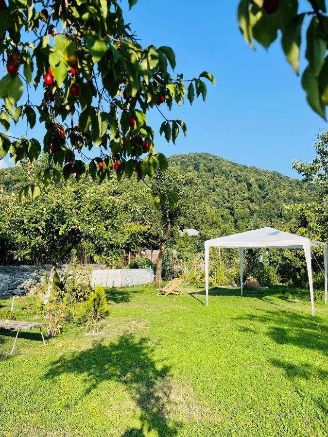 Dreamland Lagodekhi & Wine Cellar Dış mekan fotoğraf