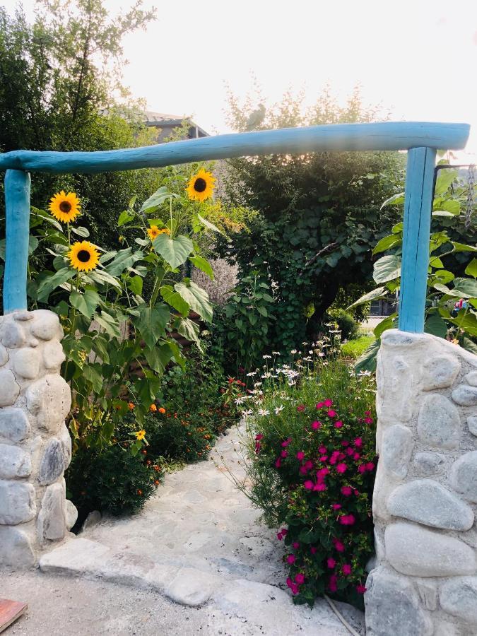 Dreamland Lagodekhi & Wine Cellar Dış mekan fotoğraf
