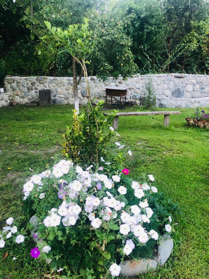 Dreamland Lagodekhi & Wine Cellar Dış mekan fotoğraf