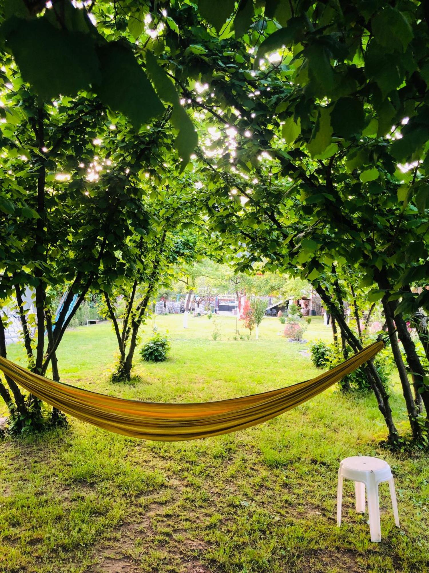 Dreamland Lagodekhi & Wine Cellar Dış mekan fotoğraf