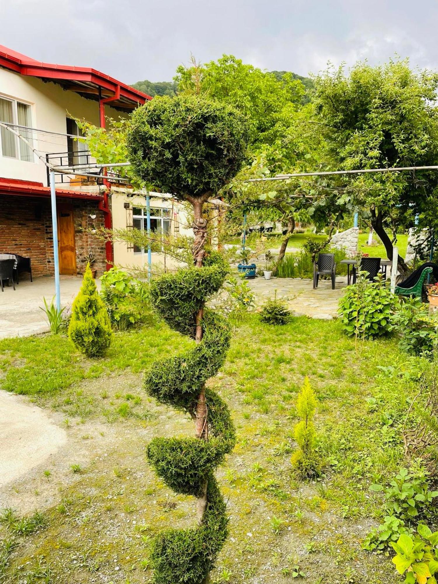 Dreamland Lagodekhi & Wine Cellar Dış mekan fotoğraf